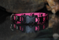 Halsband Nylon Pfötchen Schwarz-Pink 15mm