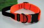 Halsband mit Griff Neon-Orange 40mm