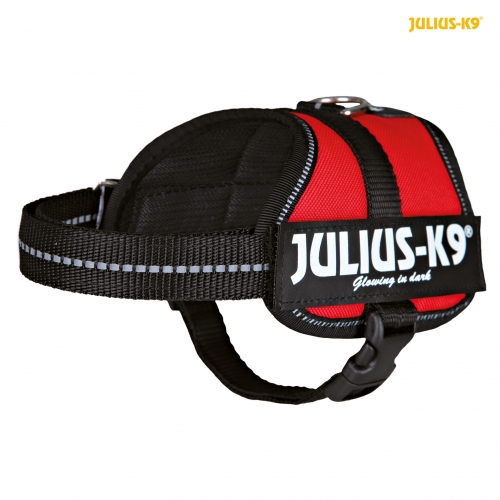 Julius K9 Powergeschirr Gr. baby 2 rot