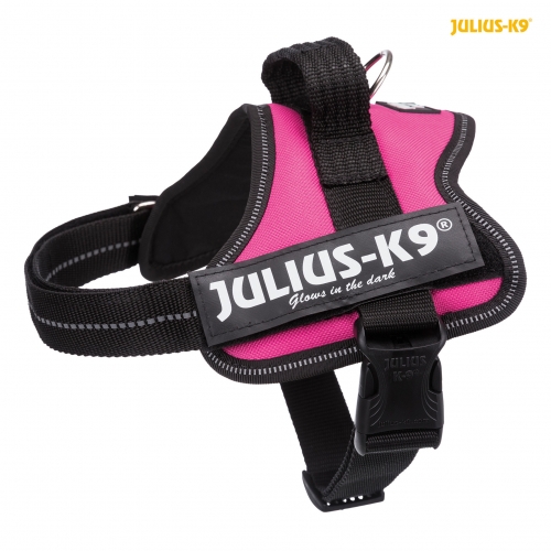 Julius K9 Powergeschirr Gr. Mini-Mini fuchsia