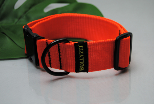 Halsband Nylon Neon-Orange 40mm, Gr.M-L